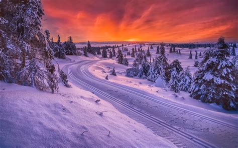 norway winter snow road trees sunset wallpaper nature