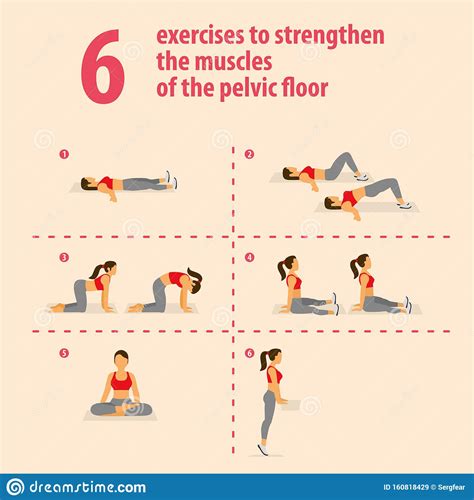 Exercises To Strengthen The Muscles Of The Pelvic Floor