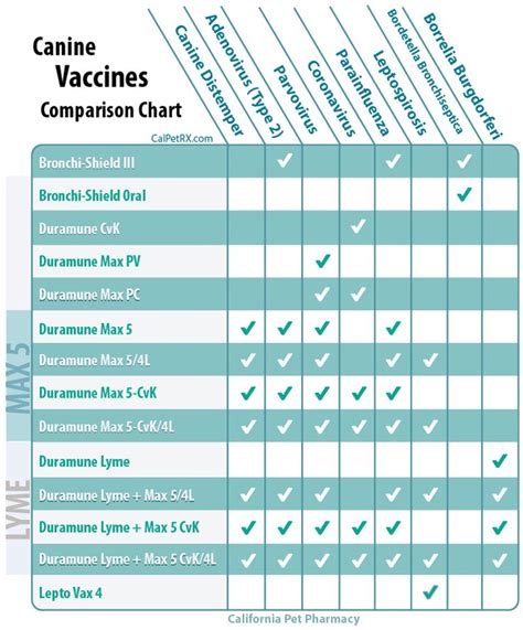 dog vaccination schedule printable shop fresh