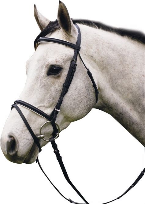 dressage bridle top  detailed reviews thereviewguruscom