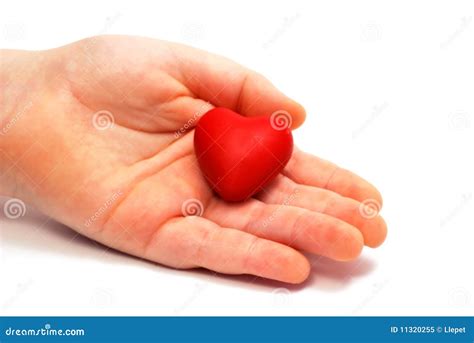 heart stock image image  fragile game peace isolated
