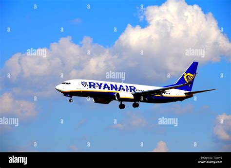 ryanair cabin crew  res stock photography  images alamy