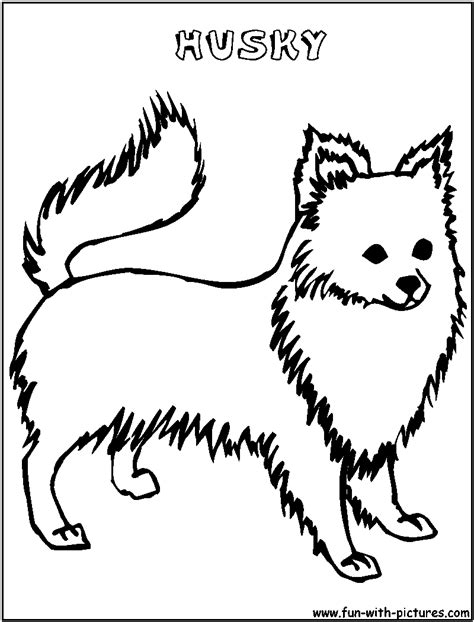 husky coloring page