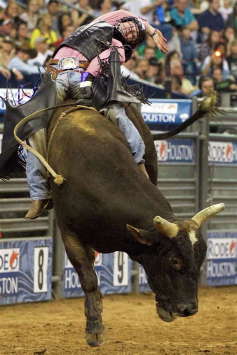 top local bull rider hopes  win  ymbl rodeo