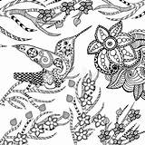 Zentangle Stylized Uccello Totem Schizzo Disegnato Sullo Nido Scarabocchio Mano Floreale Stilizzato Tropicale Giardino sketch template