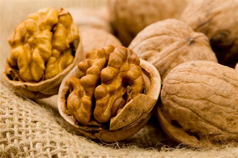healthy life style nut walnut