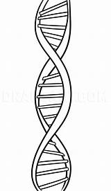 Dna Drawing Draw Clipart Helix Ladder Dragoart Tattoo Step Sketch Tutorial Clipartmag Print Labeled Anatomy Kids Coloring Getdrawings Tutorials Visit sketch template