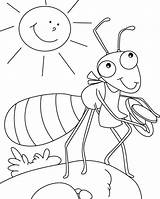 Coloring Pages Farm Ant sketch template