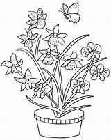 Colorat Flori Orhidee P06 Desene Planse Primiiani Copii sketch template