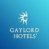 gaylord hotels youtube