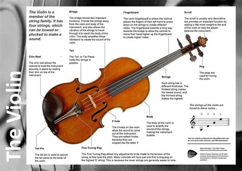 parts   violin images  pinterest musical instruments violin   instruments