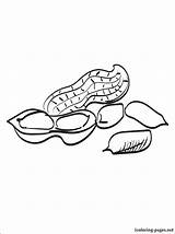 Peanut Coloring Pages Butter Peanuts Drawing Color Getdrawings Bread Getcolorings sketch template