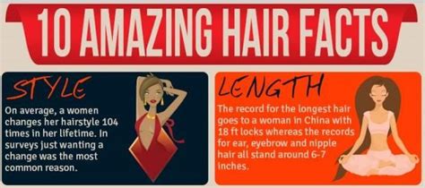 amazing hair facts justinfographics hair facts cool hairstyles