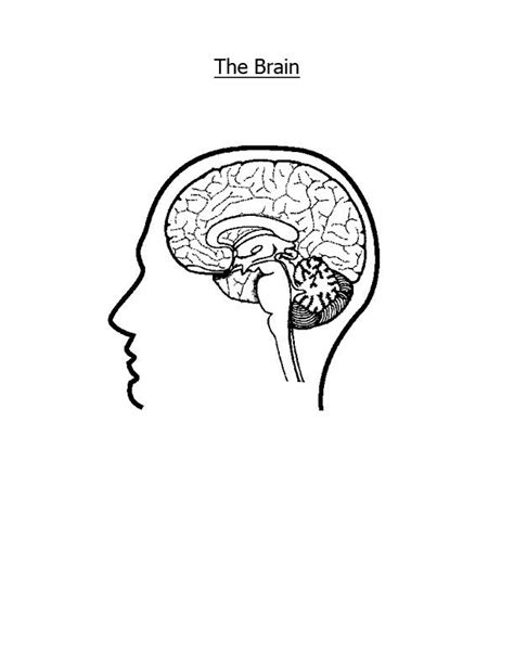 brain coloring pages az coloring pages coloring pages coloring