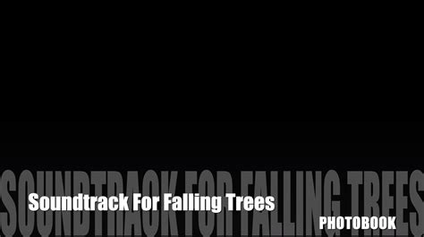 soundtrack  falling trees photobook il post