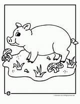 Pigs Cow Printables sketch template