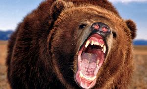angry bear thursday underrated economics weblog