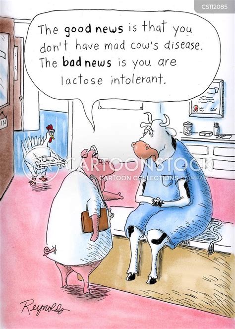 mad cows disease cartoons and comics funny pictures from cartoonstock