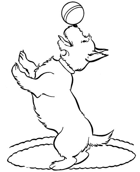 small dog coloring pages coloring home