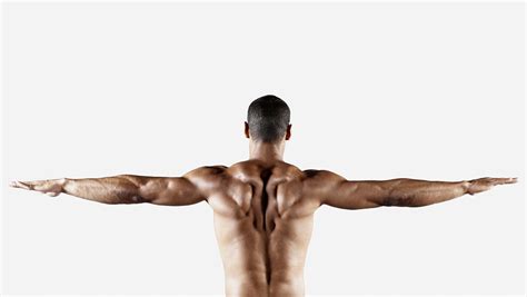 training tips  guys  long arms muscle fitness