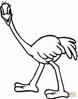 Ostrich Emu Coloring Pages Printable Color Kids Template Clipart Compatible Tablets Ipad Android Version Click sketch template