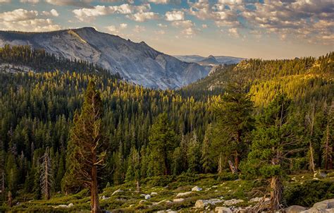 fondos de pantalla parque ee uu bosques fotografía de paisaje