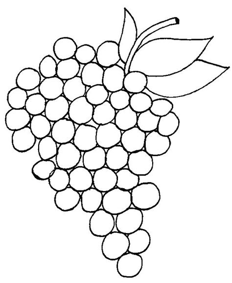 vineyard coloring page coloring pages