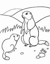 Groundhog Coloring Printable Pages Drawings Animals sketch template