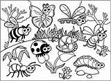 Coloring Insects Pages Cartoon Adults Butterflies Insect Bugs Color Colouring Insectes Diverses Bug Justcolor Various Kids Drawn Childish Style Printable sketch template