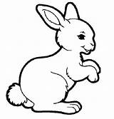 Rabbit Coloring Template Templates Shape Colouring Pages Sample Kids sketch template