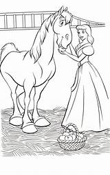 Cinderella Caballo Caballos Horse Cenicienta sketch template