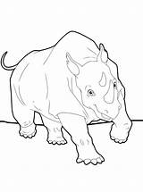 Attacks Rhinoceros Fun Kids Coloring sketch template