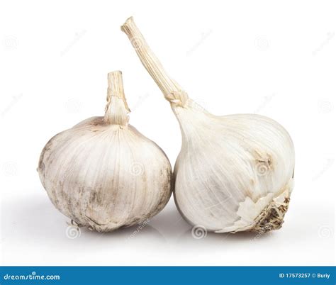 white garlic stock image image  ingredient food spicy