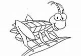 Grasshopper Coloring Pages Outline Drawing Kids Colouring Printable Getcolorings Getdrawings Print Grass Paintingvalley Colorings sketch template