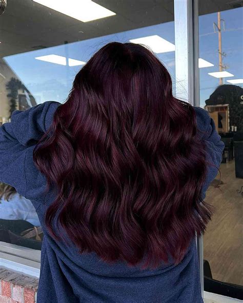 discover more than 76 red wine hair latest in eteachers