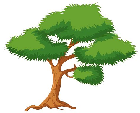 png tree clipart clipground