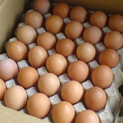 Jual Telur Ayam Mentah Kemasan ¼kg ½kg 1 Kg Indonesia Shopee Indonesia