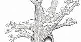 Hollow Tree Coloring Trees Pages Top Credit Larger sketch template
