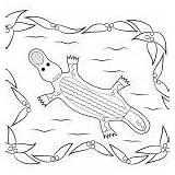 Aboriginal Printable Colouring Platypus sketch template