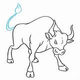 Bull Drawing Draw Step Easy sketch template