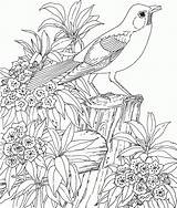Coloring Gardens Pages Garden Bird Beautiful Flowers Printables Pleasant Attractive Some sketch template