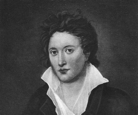 lost percy bysshe shelley poem poetical essay   existing state
