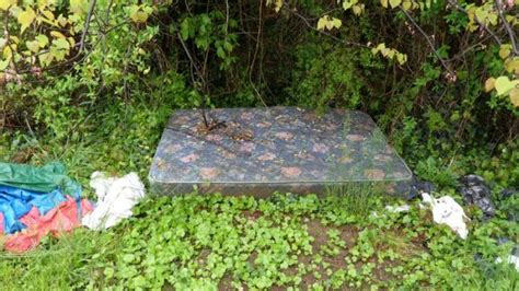 Sex Mattress In The Middle Of The Woods 21 Pics