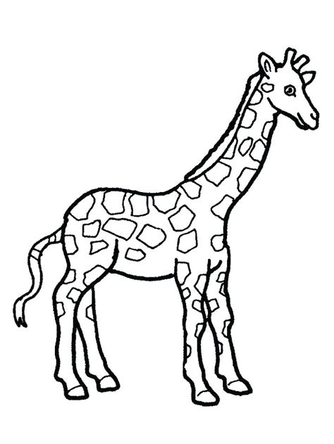 cute baby giraffe coloring pages  getcoloringscom  printable