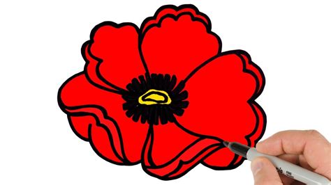 draw poppy flower easy youtube