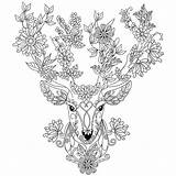 Deer Stag Cerf Hirsch Erwachsene Reh Ausdrucken Mandalas Coloringareas Designkids sketch template