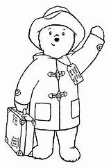Paddington Printables Urso Ursos Ours Pelúcia Atividades Páginas Oso sketch template