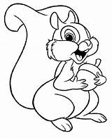 Coloring Pages Squirrel Printable Bestcoloringpagesforkids Kids Disney Animal sketch template