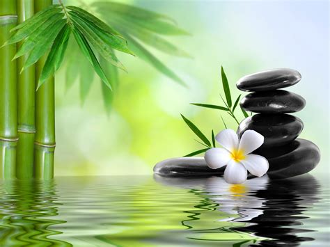serene spa background  bamboo  stones  water  ultimate