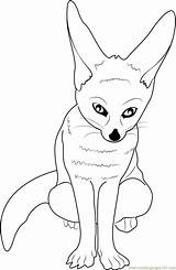 Coloring Fox Little Pages Coloringpages101 Kids Foxes sketch template